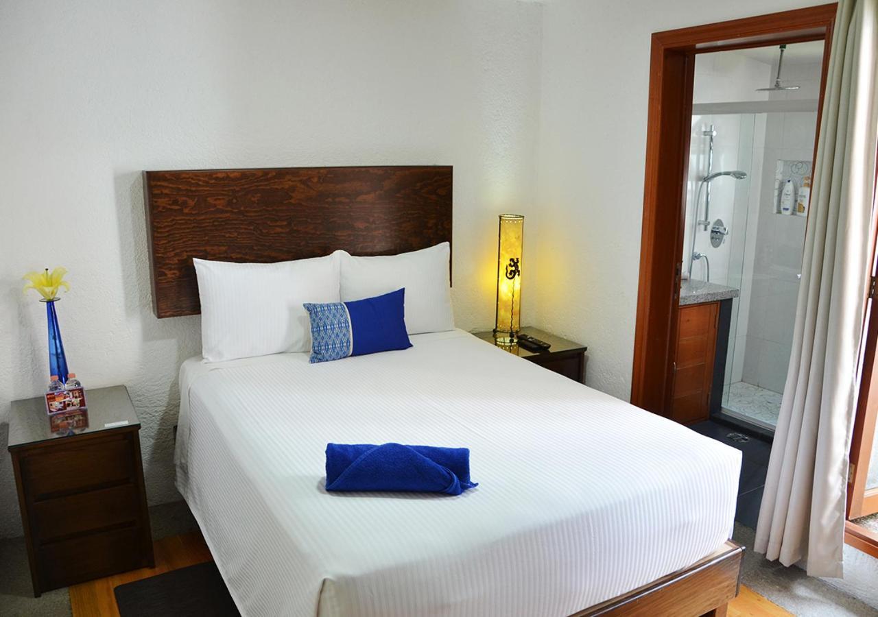 Casa Coyoacan مدينة مكسيكو المظهر الخارجي الصورة