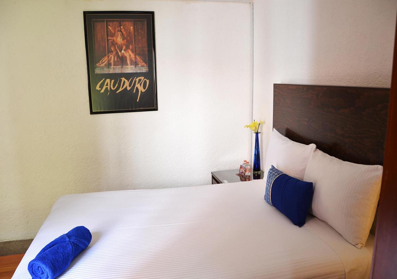 Casa Coyoacan مدينة مكسيكو المظهر الخارجي الصورة