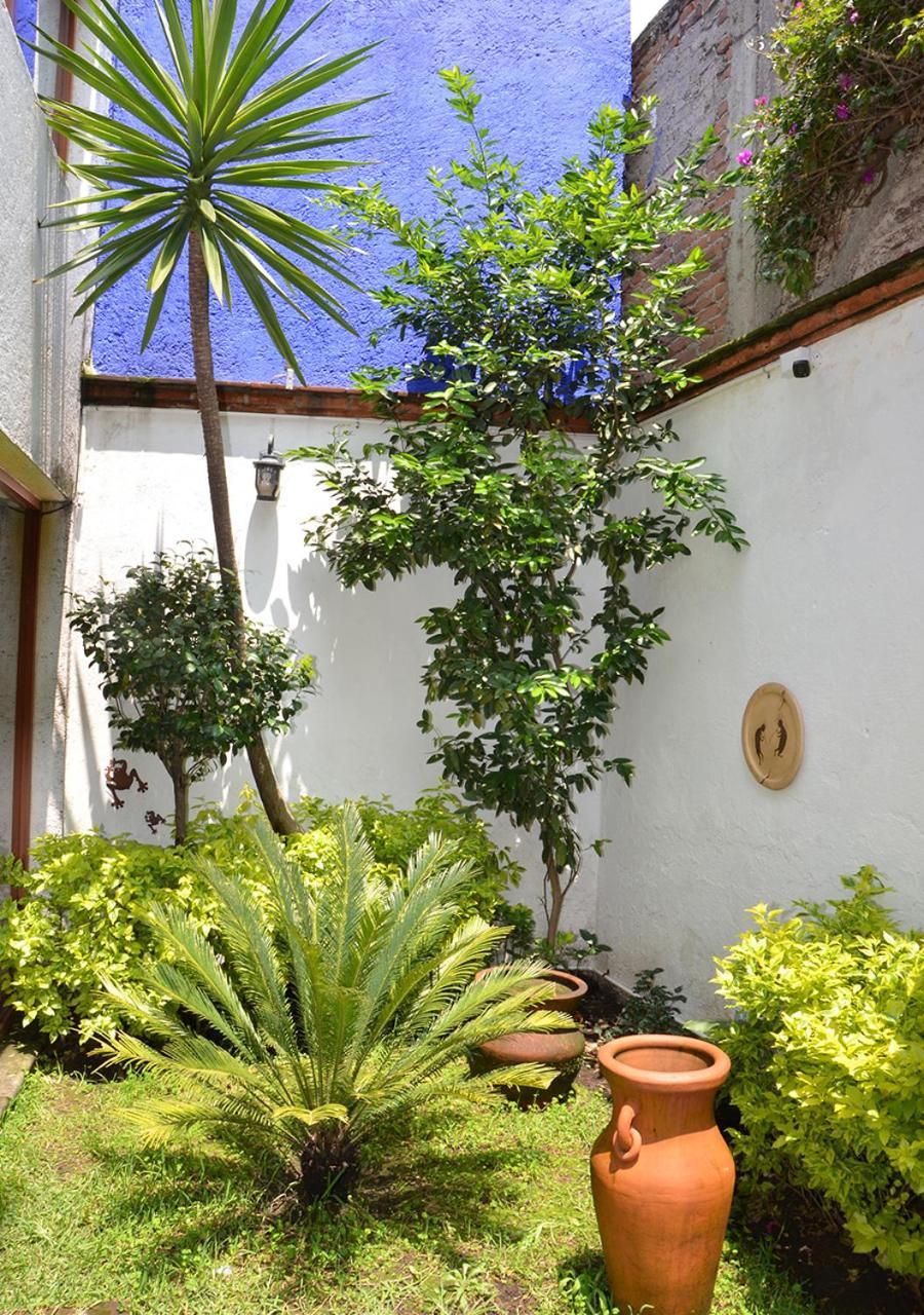 Casa Coyoacan مدينة مكسيكو المظهر الخارجي الصورة