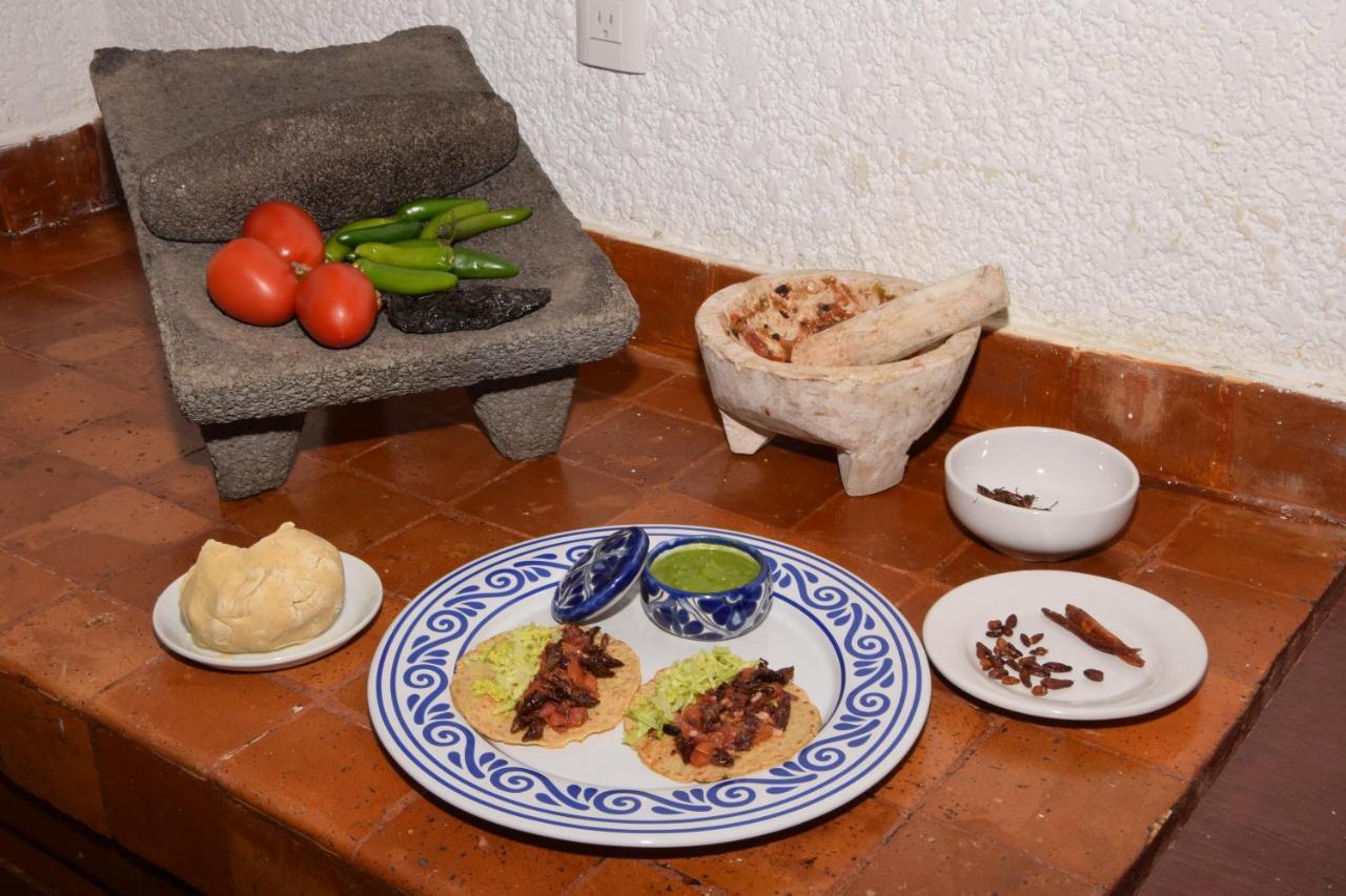 Casa Coyoacan مدينة مكسيكو المظهر الخارجي الصورة
